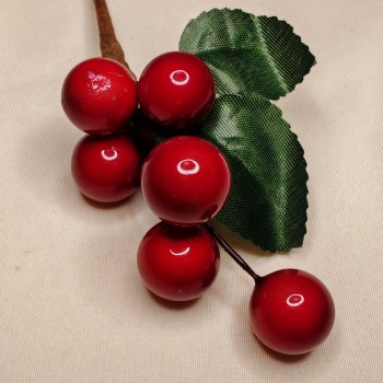 Bacche Rosse con Foglie