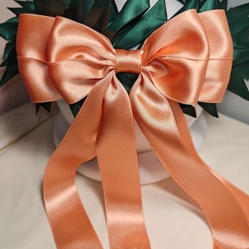 Corona Sogno di salmone